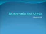 Bacteremia and Sepsis - University of Yeditepe Faculty of