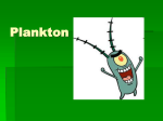 Plankton - San Pedro High School