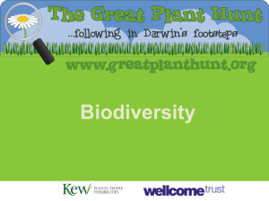 www.greatplanthunt.org