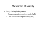 Metabolic Diversity