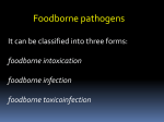 Escherichia coli - Share My Knowledge & Experience