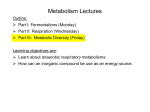 11_lecture_microbes - New Learning Technologies website