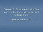 Commonly Encountered Microbes and the Antibacterial Drugs