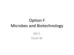 Option F Microbes and Biotechnology