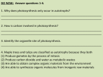 DO NOW: Answer questions 1-4. 1. Why does photosynthesis