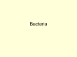 Bacteria” - Claremont Colleges