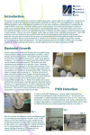 Production of Poly Hydroxybutyric Acid with B megaterium