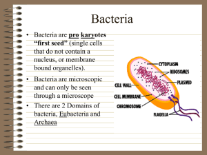 Helpful Bacteria - Dr. Annette M. Parrott