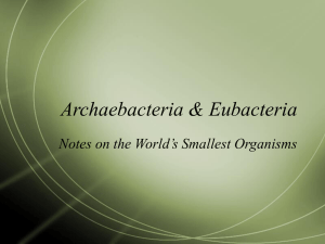 Archebacteria & Eubacteria