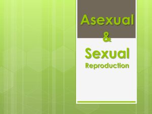 Asexual & Sexual Reproduction