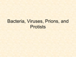 Bacteria , Viruses, Protists , and Prions