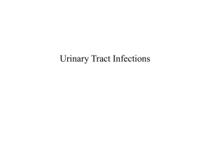 Urinary Tract Infections Gram negative
