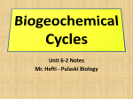 Biogeochemical Cycles