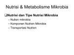 Nutrisi & Pertumbuhan Mikrobia