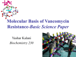 Molecular Basis of Vancomycin Resistance
