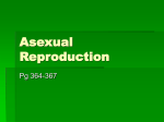 Asexual Reproduction - School District 67