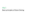 What is gene clonning? - FaPGenT --