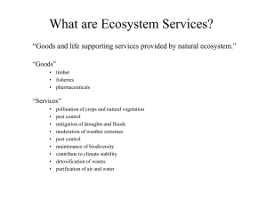 What are Ecosystem Services?