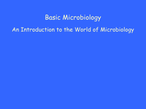 Microbiology 155 Chapter 1 - Welcome to Cherokee High School