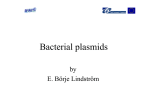 Bakterial plasmids