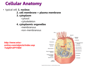 Slide 1