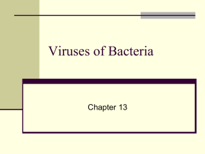 Viruses of Bacteria - Morgan Community College