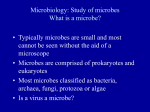 Microbiology: Study of microbes What is a microbe?