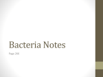 Bacteria Notes - Laguna Middle School