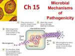 Microbiology - Las Positas College