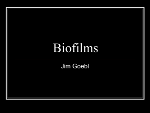 Biofilms