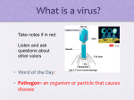 What is a virus? How does it reproduce?