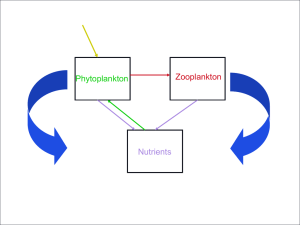 Trophic Structure & Food Webs