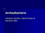 Archaebacteria - HRSBSTAFF Home Page