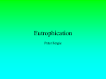 Eutrophication