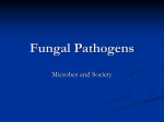 Fungal Pathogens