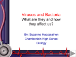 Viruses and Bacteria What are they and how they affect us?