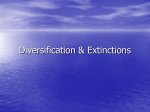Diversification & Extinctions