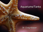 Fish Tanks/Aquariums