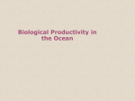 Chapter 10 Biological Productivity in the Ocean