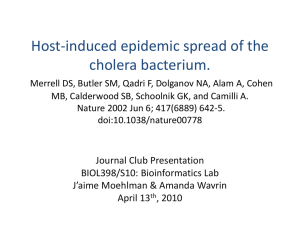 V. cholerae - OpenWetWare