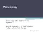 Microbiology 1