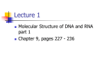 Molecular Structure of DNA and RNA part 1 powerpoint