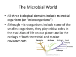 The Microbial World_5