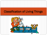 Classification of Living Things