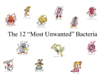 The 12 "Most Unwanted" Bacteria Presentation. Powerpoint