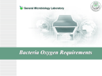 Bacteria Oxygen Requirements
