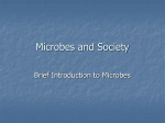 Microbes and Society