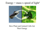 Energy=mass x speed of light²