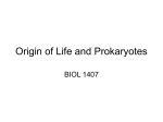 Origin of Life and Prokaryotes