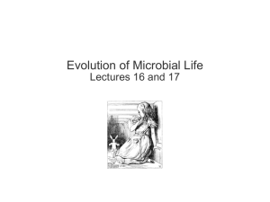 lectures 16 and 17, evolution of microbial life, 070408